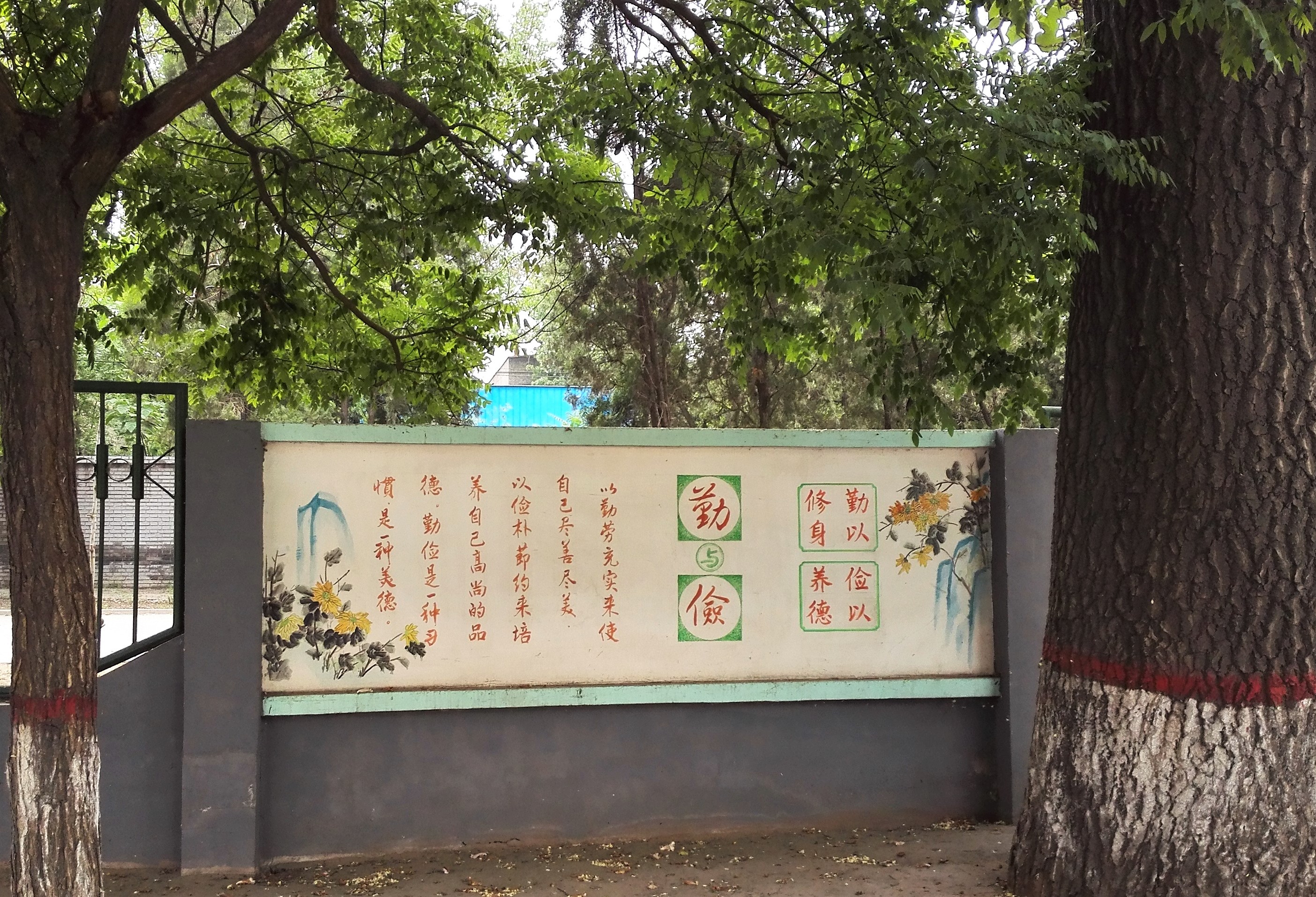 13.校園文化，根深葉茂.jpg